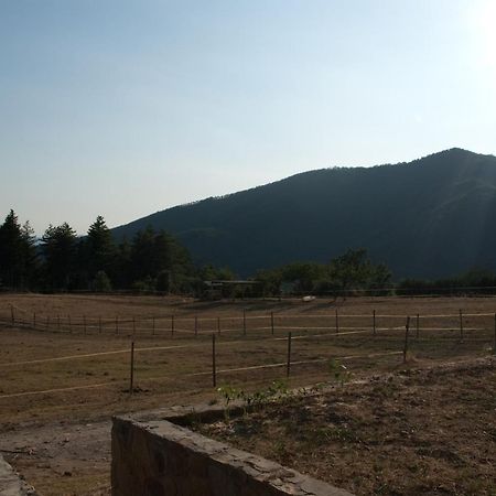 Agriturismo Le Vigne Villa Montale  Eksteriør bilde