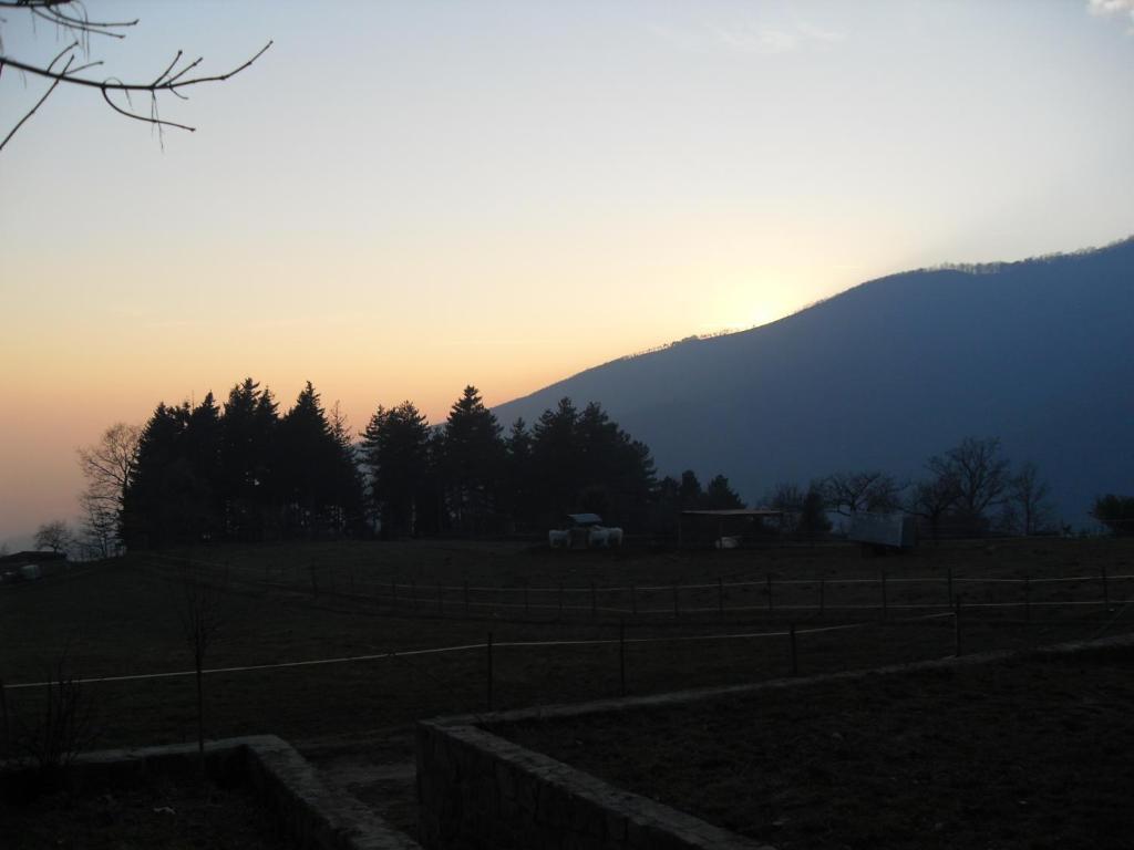Agriturismo Le Vigne Villa Montale  Rom bilde